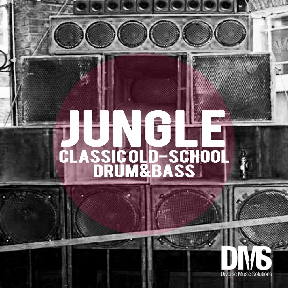 Picture of Jungle: Classic Old School Drum and Bass