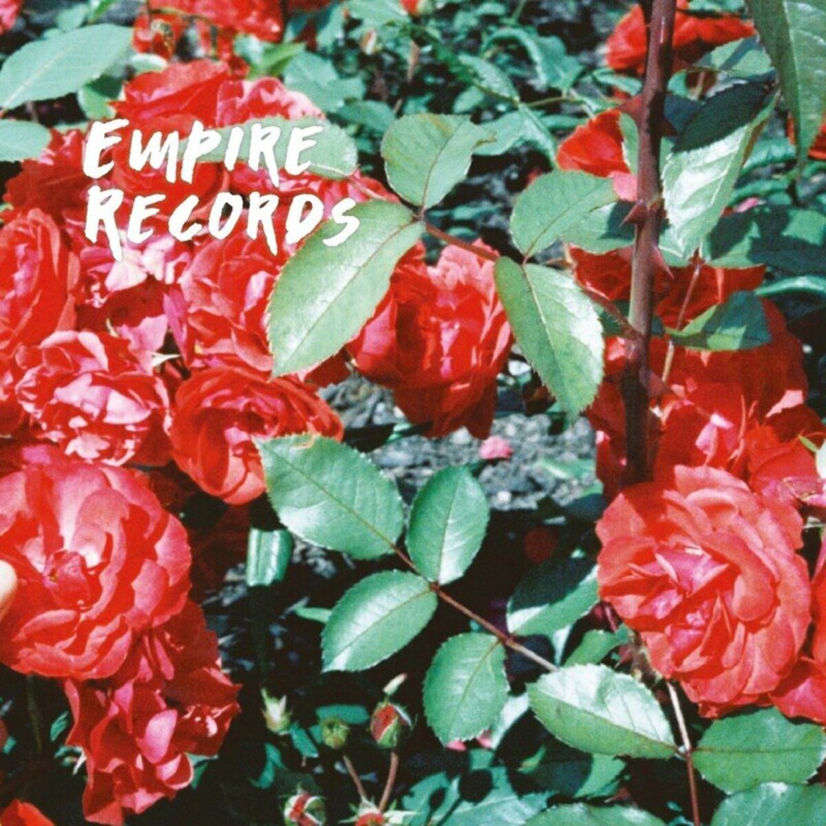 Album cover of Fever Art