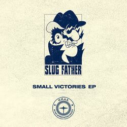 Cover of Small Victories