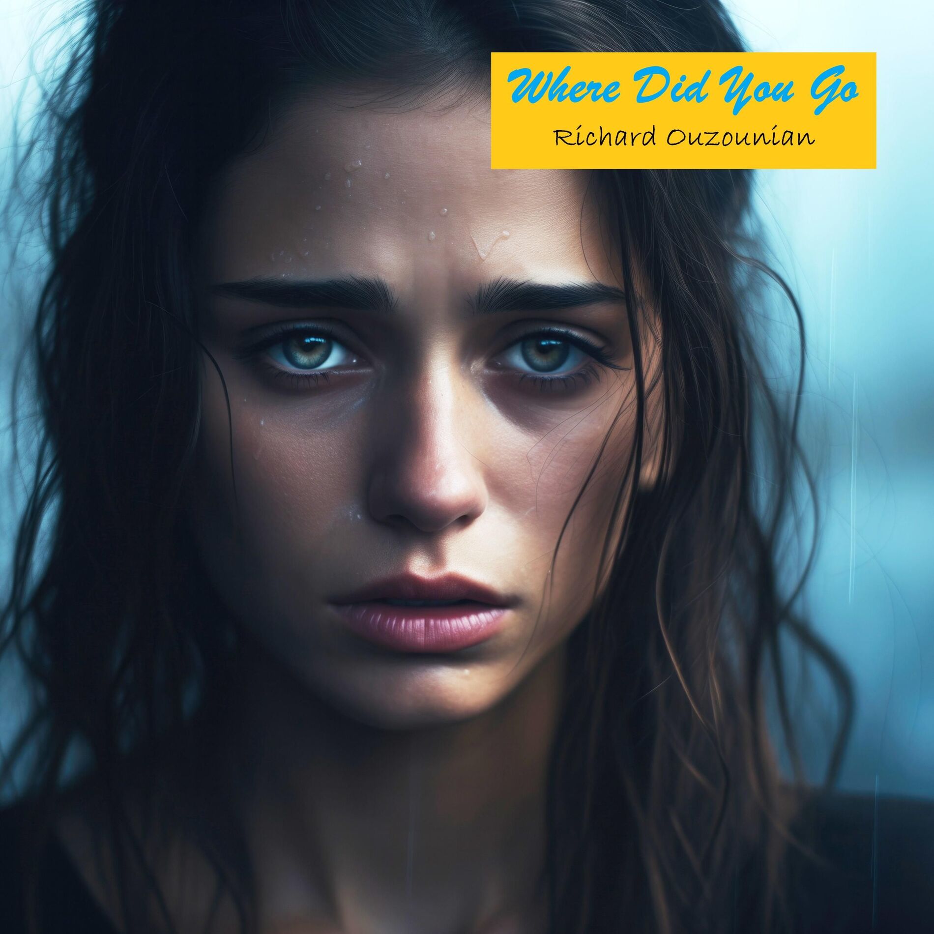 Album cover of Where Did You Go