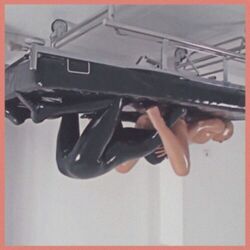 Cover of SB-01