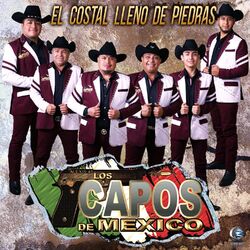 Cover of El Costal Lleno de Piedras