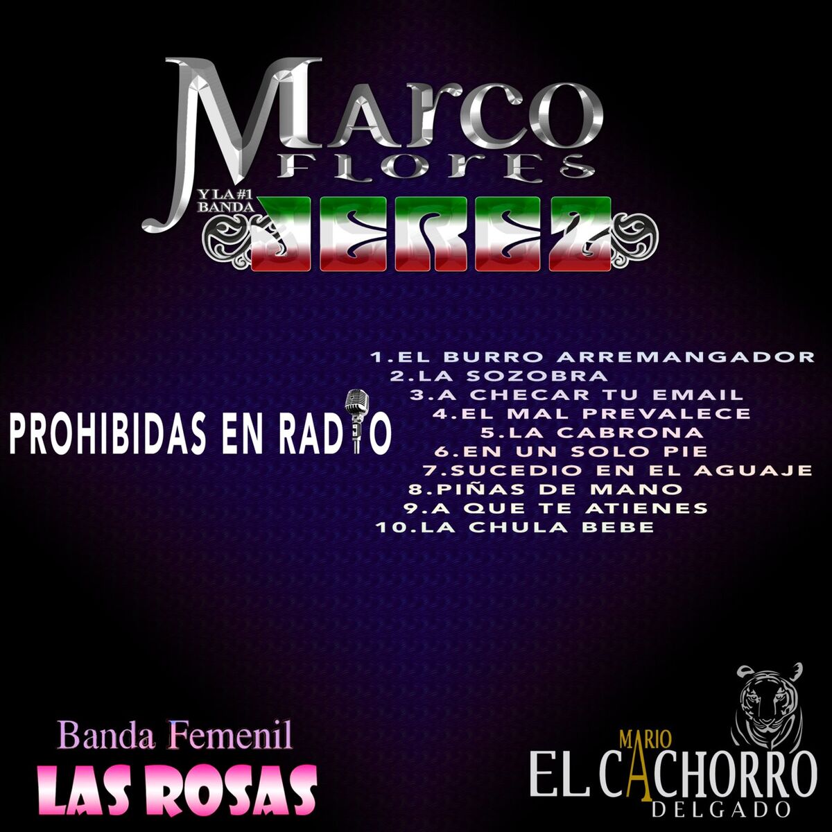 Album cover of Prohibidas En Radio
