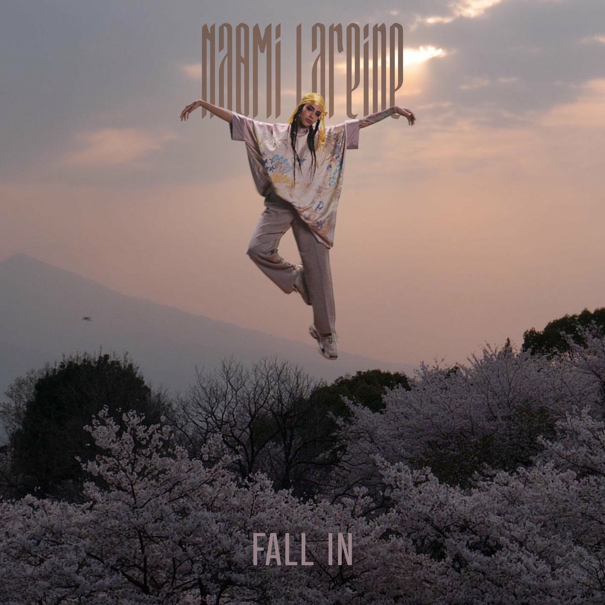 Album cover of Fall In