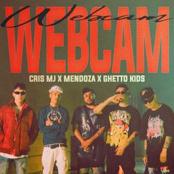 Cover of Webcam