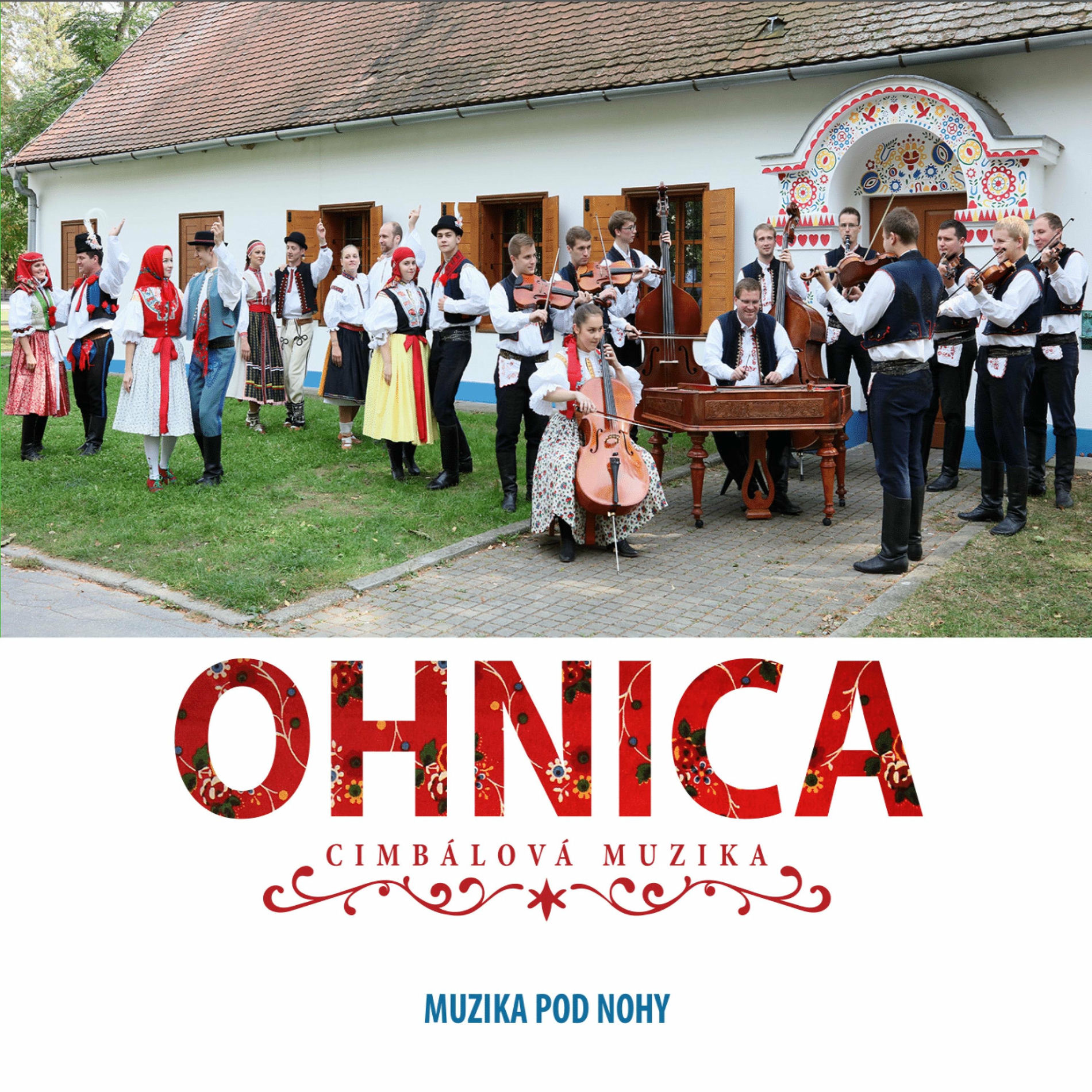 Album cover of Muzika pod nohy