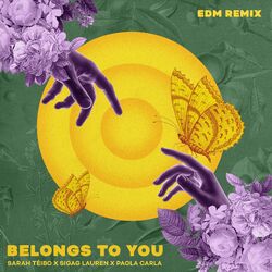 Cover of Belongs to You