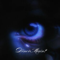 Cover of Döner Misin?