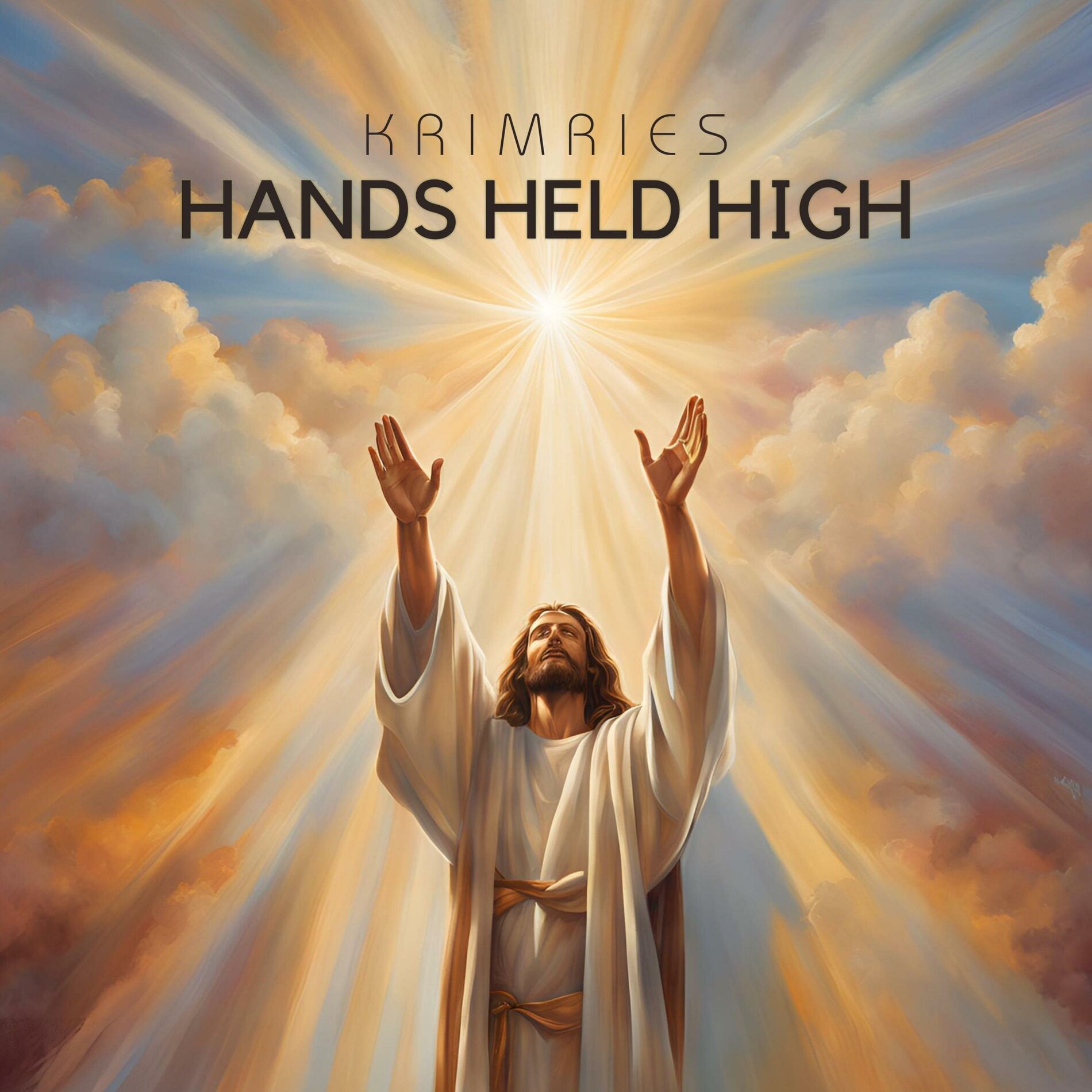 Album cover of Hands Held High