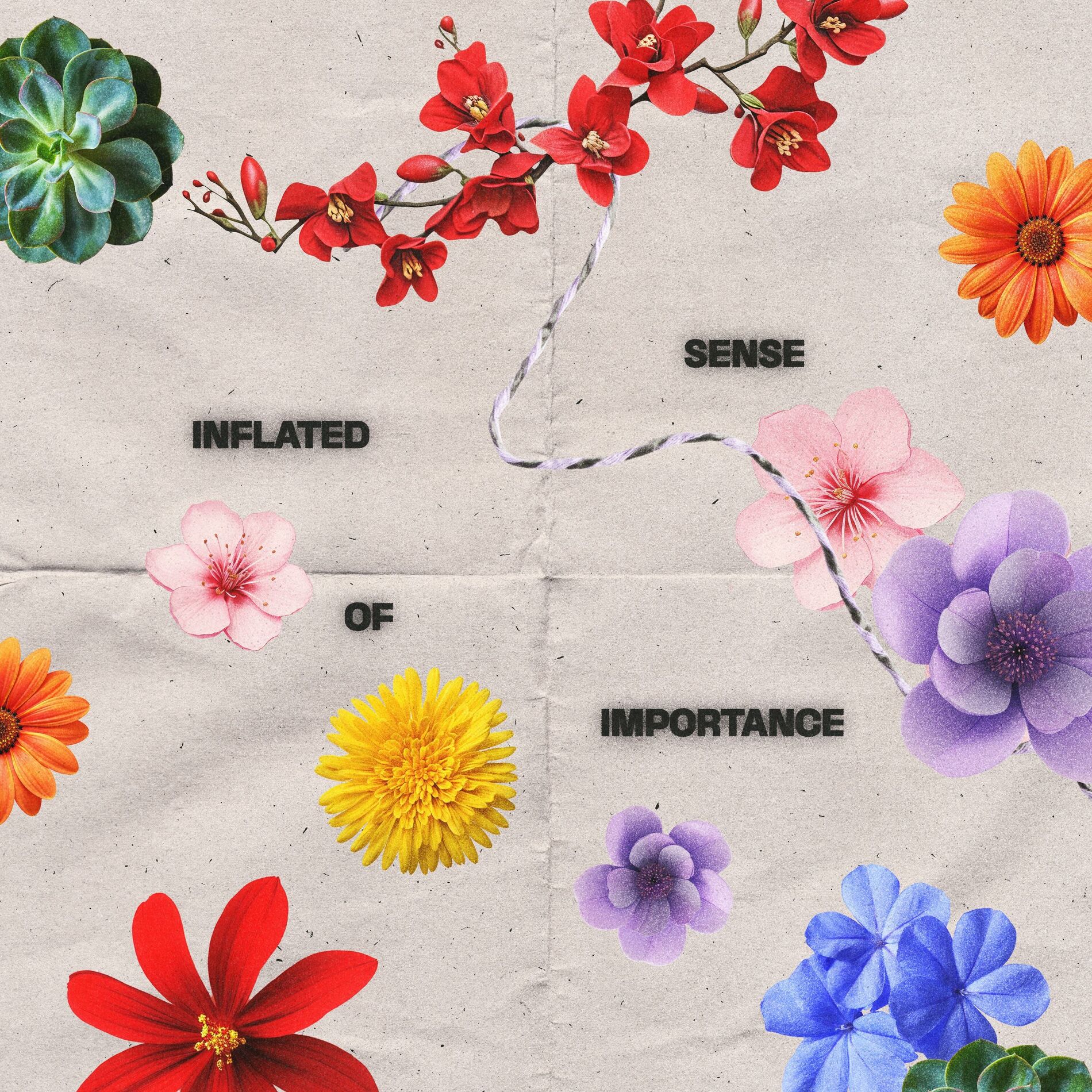 Album cover of Inflated Sense of Importance