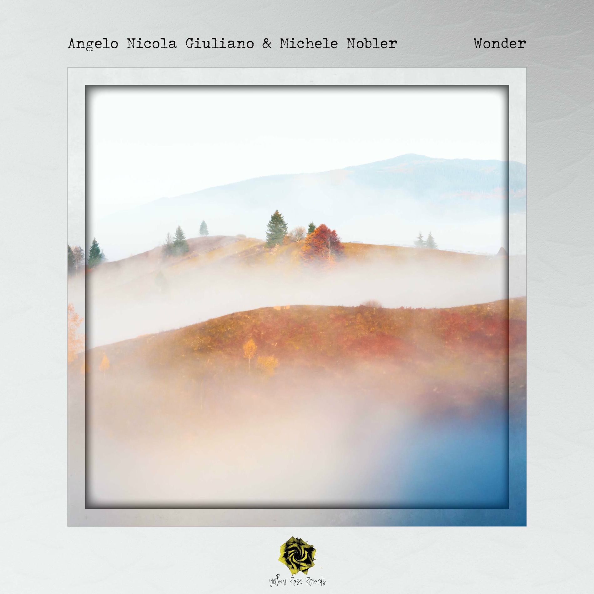 Album cover of Wonder