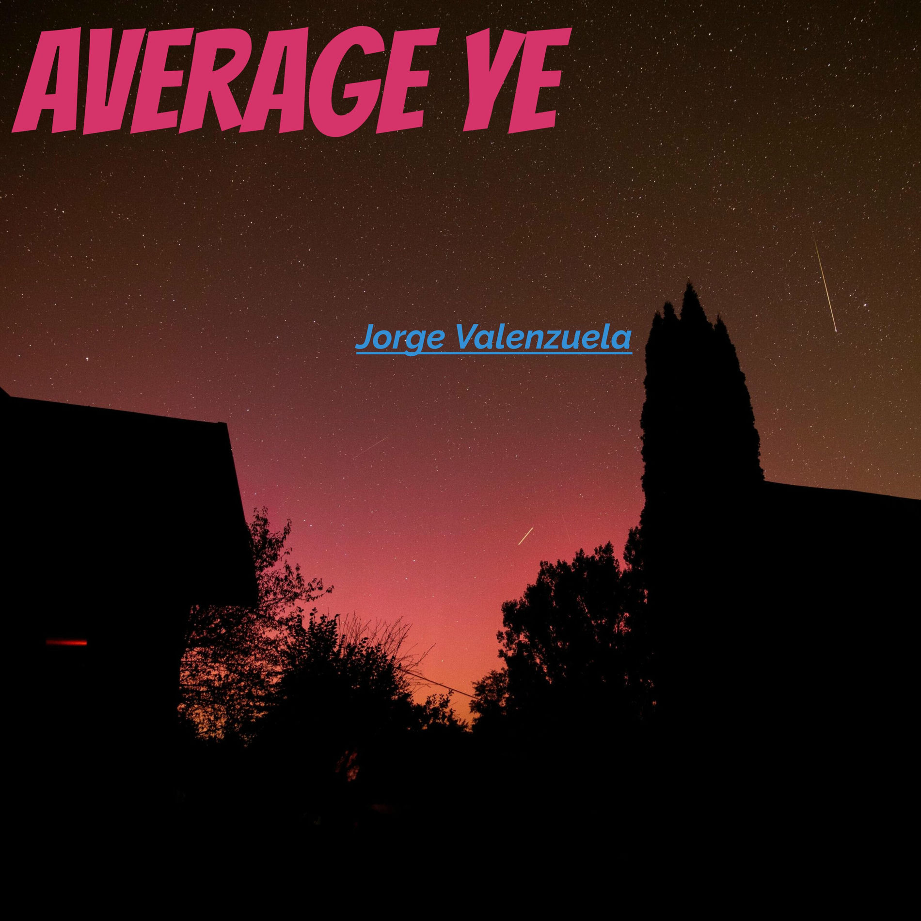 Album cover of Average Ye