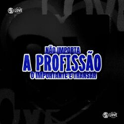 Cover of Não Importa a Profissão o Importante É Transar
