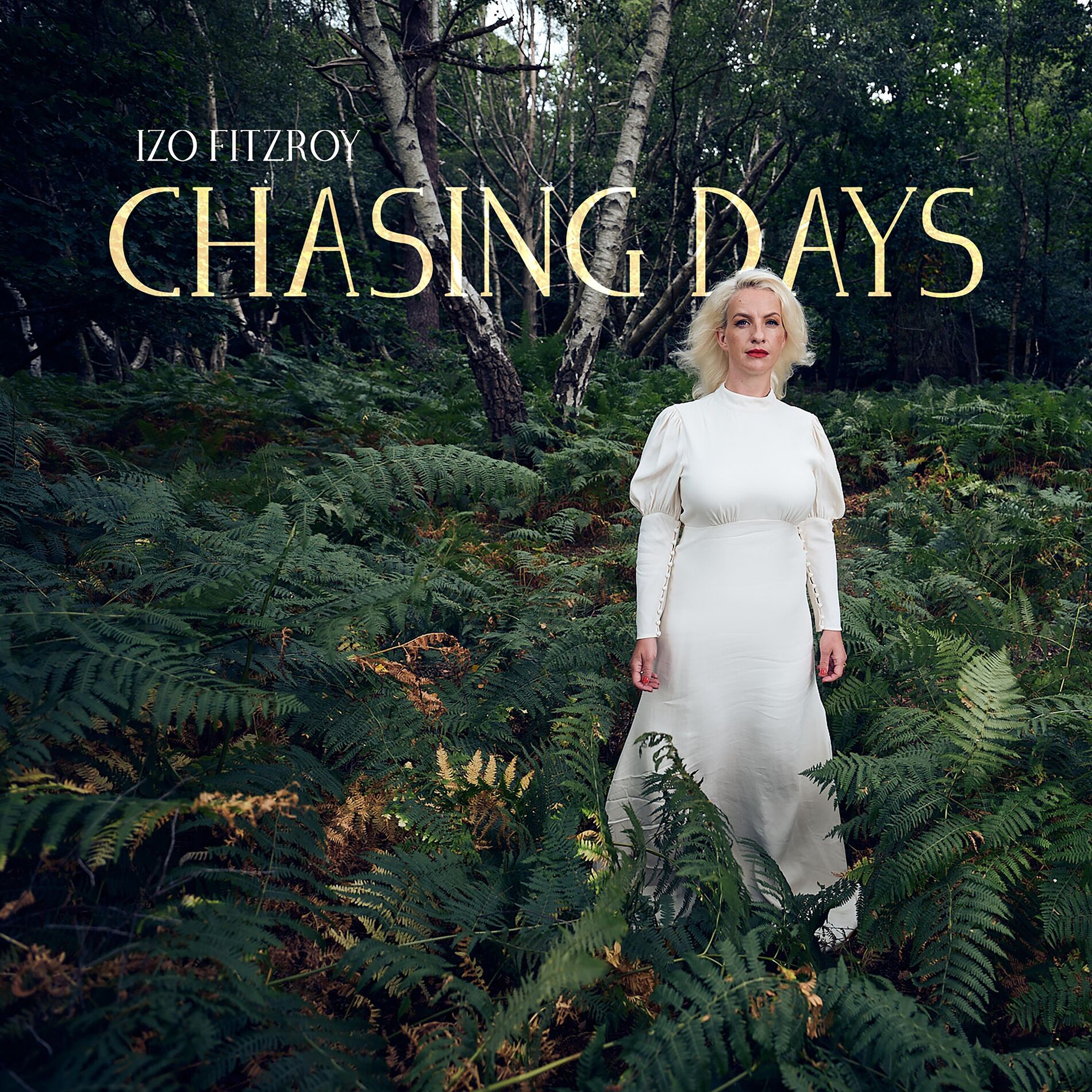 Album cover of Chasing Days