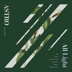Cover of All Light