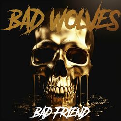 Cover of Bad Friend