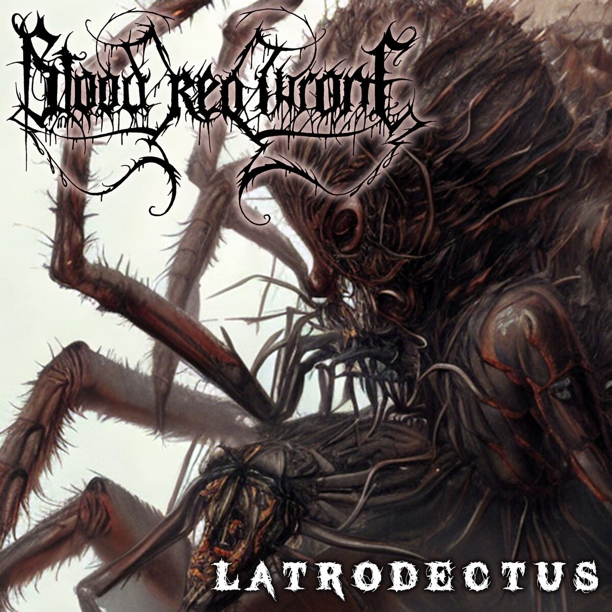 Album cover of Latrodectus