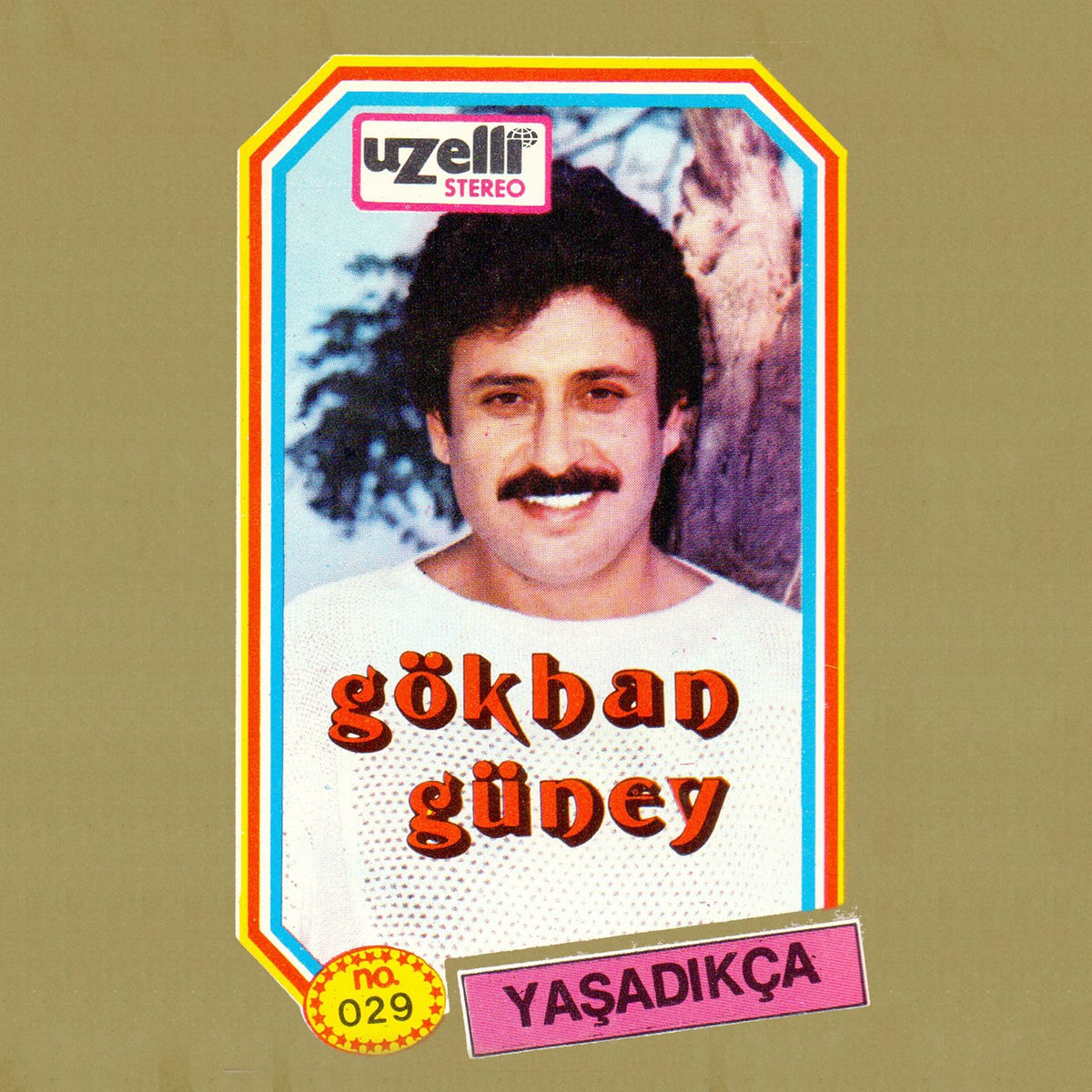 Album cover of Yaşadıkça