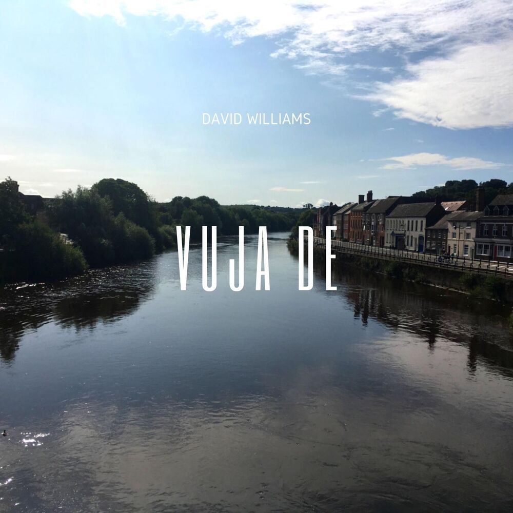 Picture of Vuja De