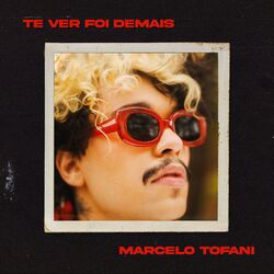 Cover of Te Ver Foi Demais
