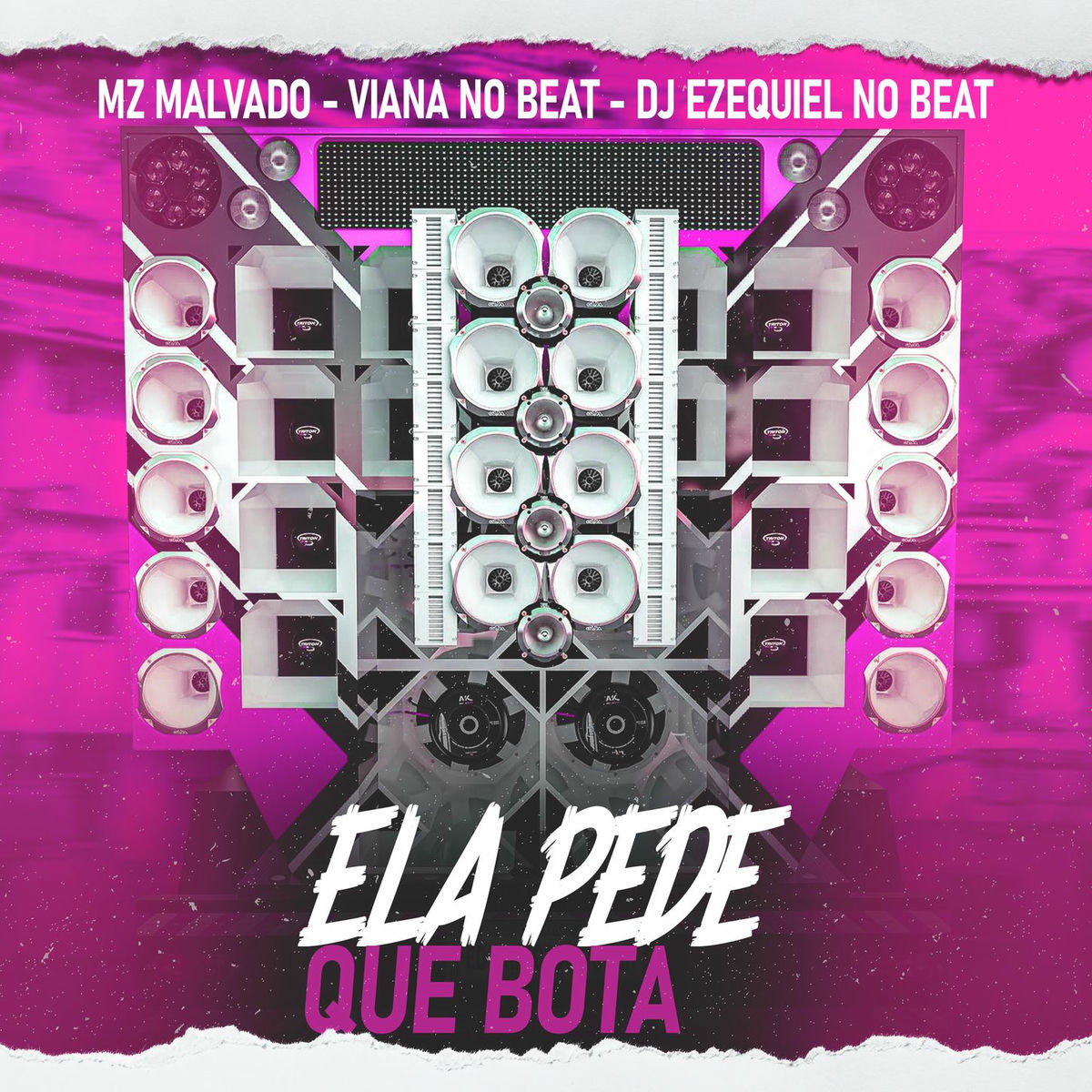Album cover of Ela Pede Que Bota