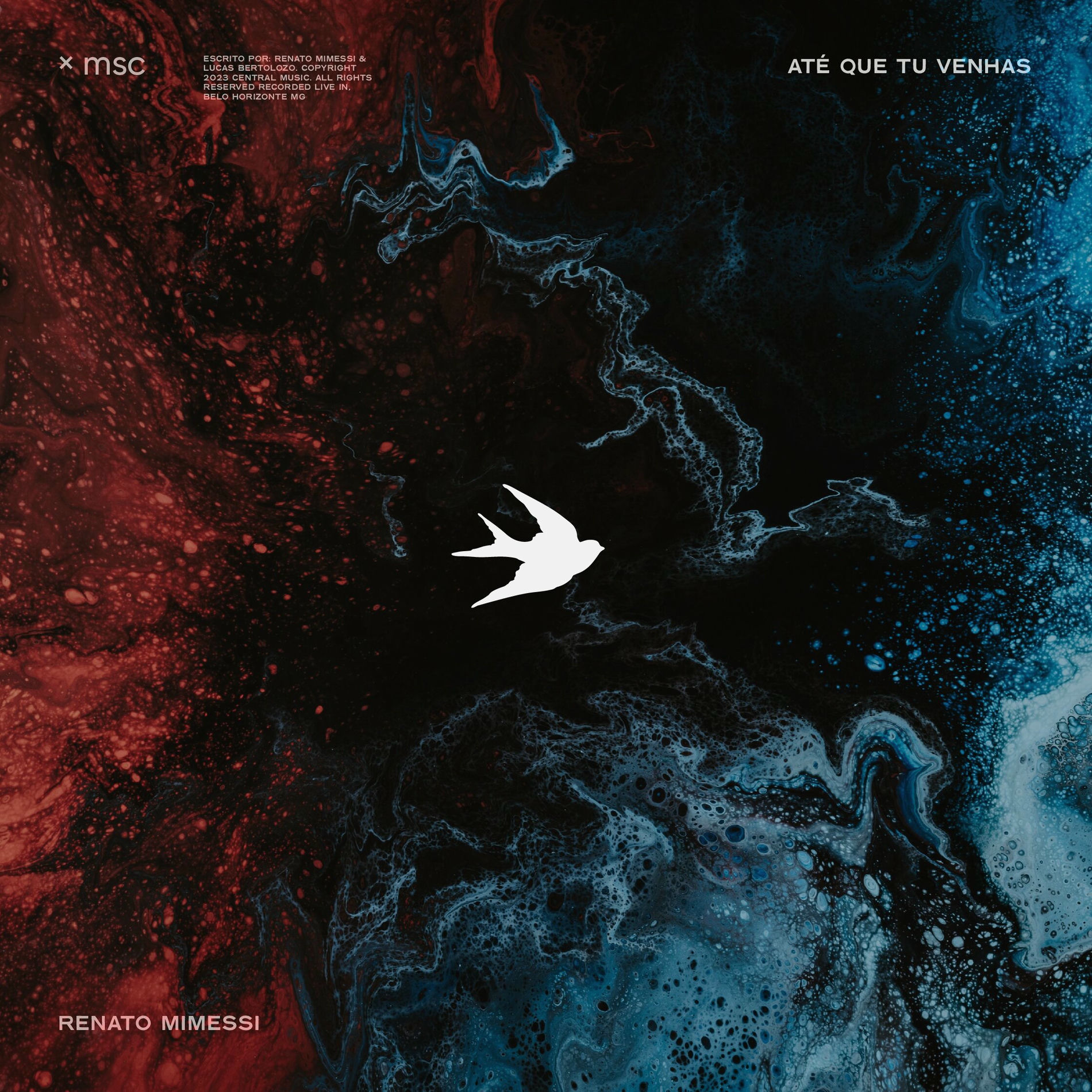Album cover of Até Que Tu Venhas