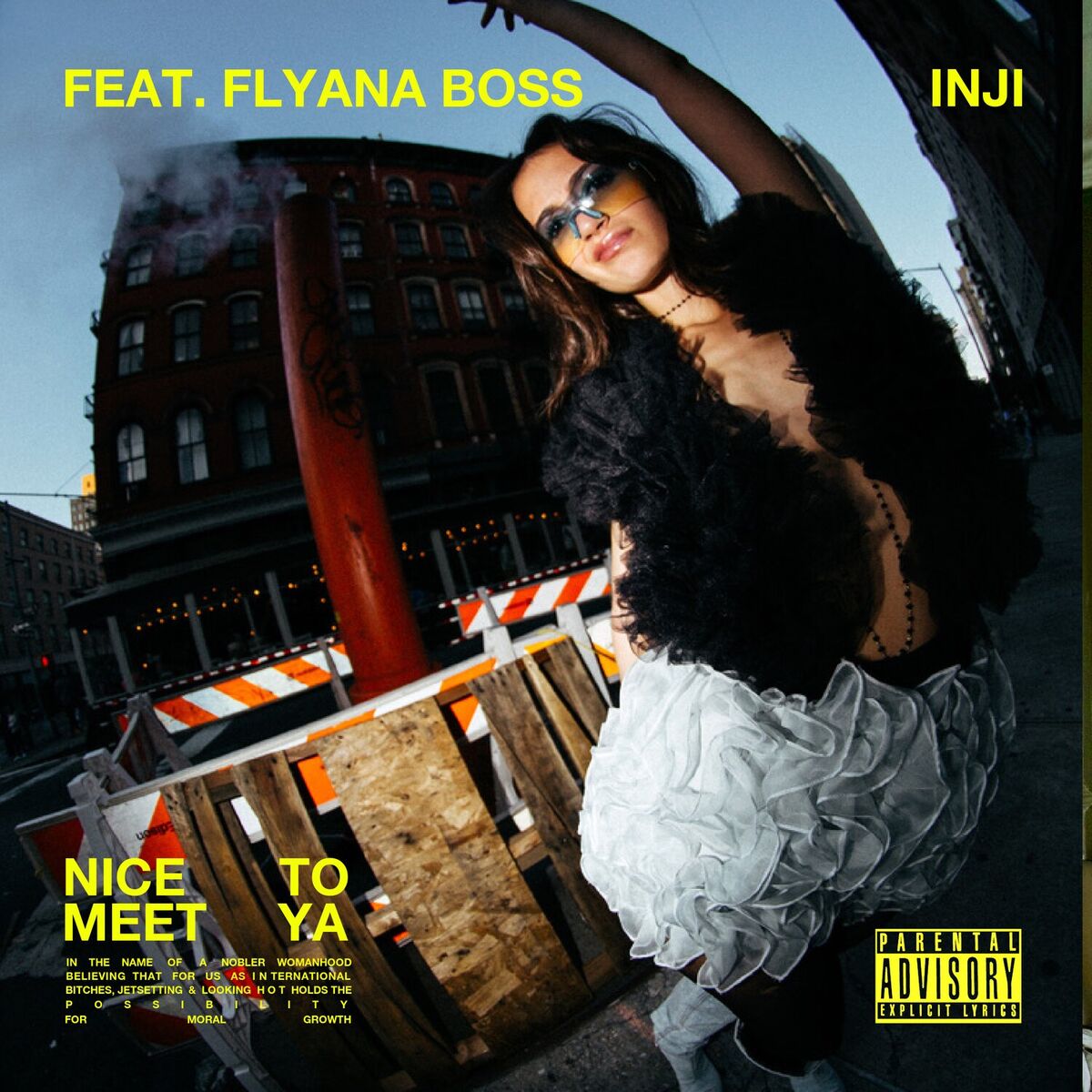 Album cover of NICE TO MEET YA