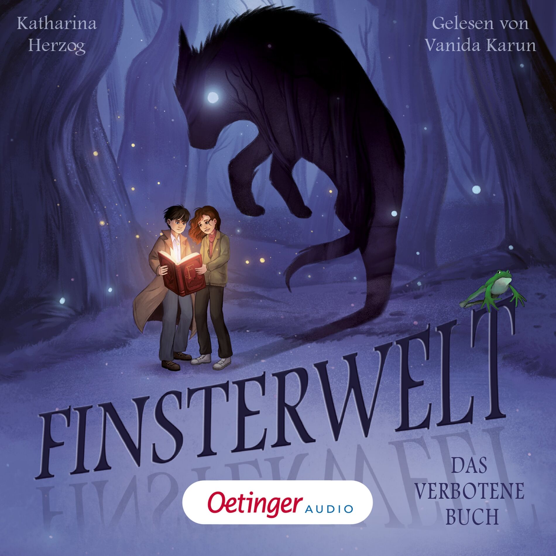 Album cover of Finsterwelt 1. Das verbotene Buch