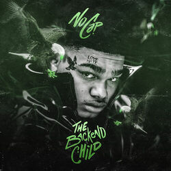 Cover of The Backend Child