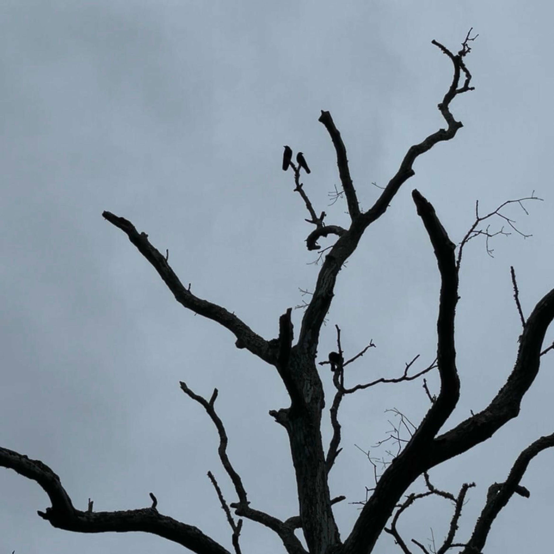 Album cover of onctober (feat. A L E X)