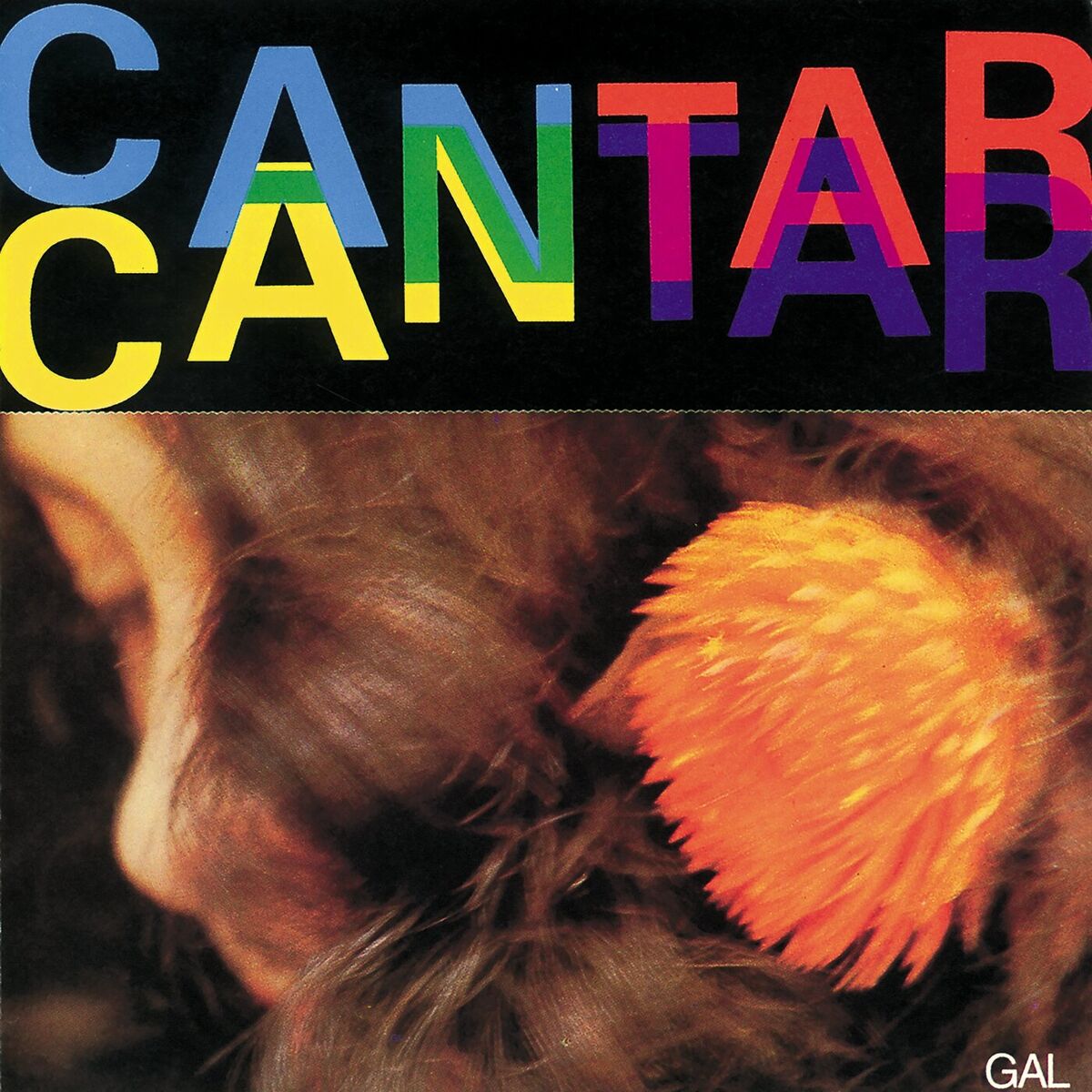 Album cover of Lágrimas Negras