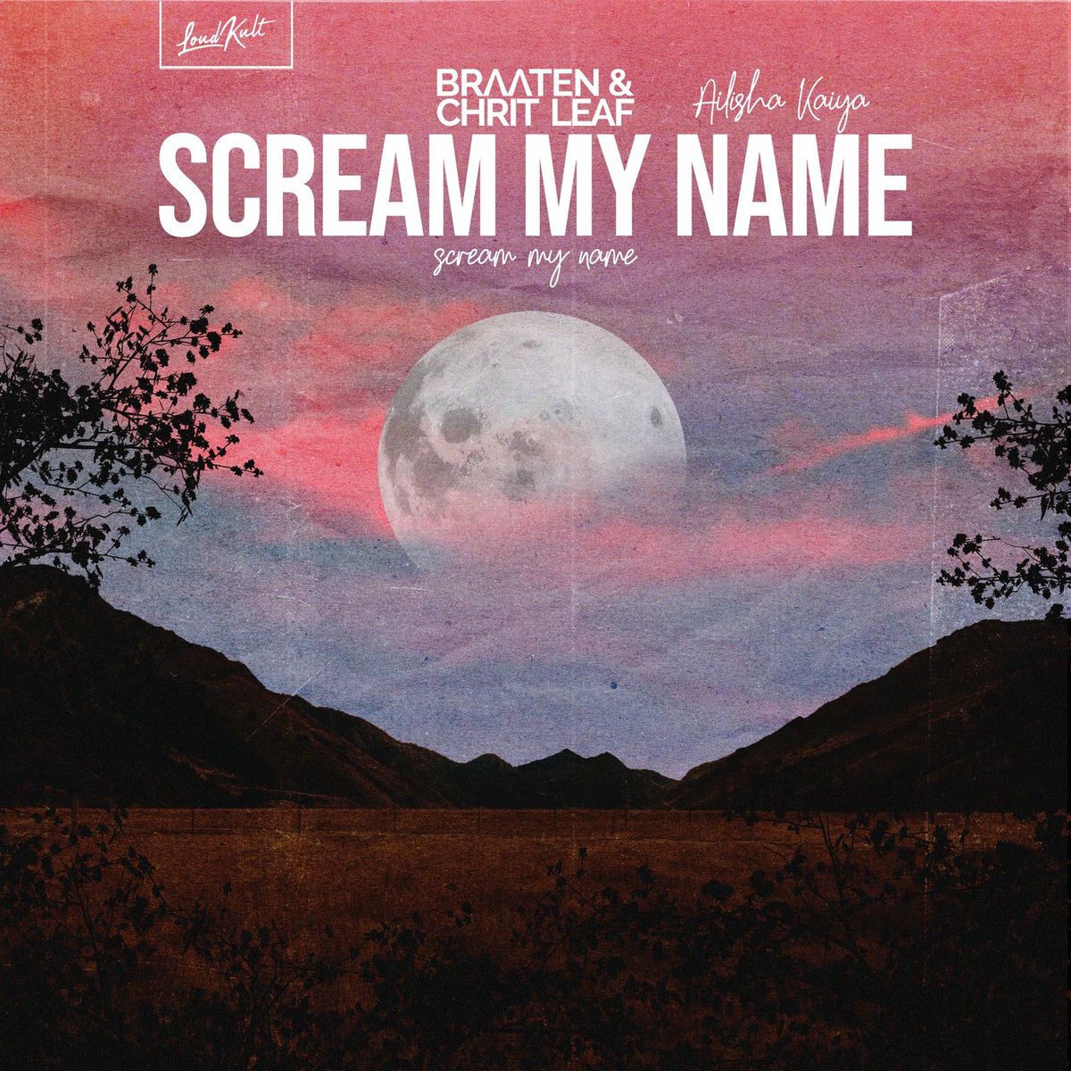 Album cover of Scream My Name