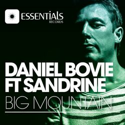 Cover of Big Mountain