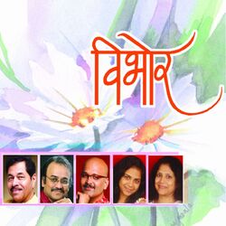 Cover of Vibhor
