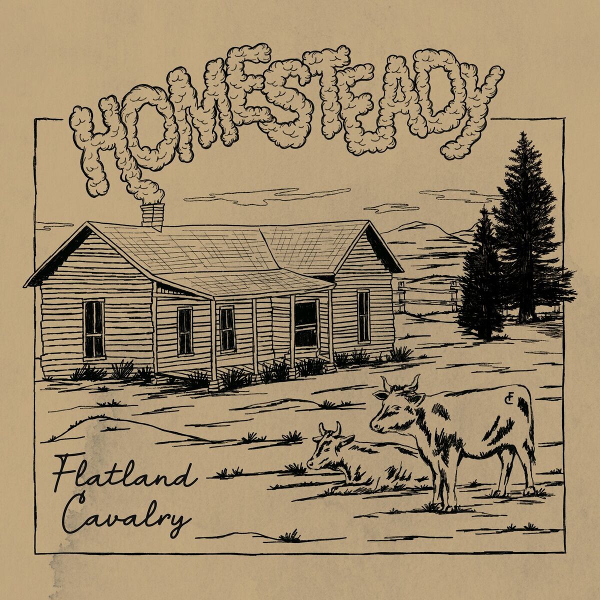Album cover of Homesteady