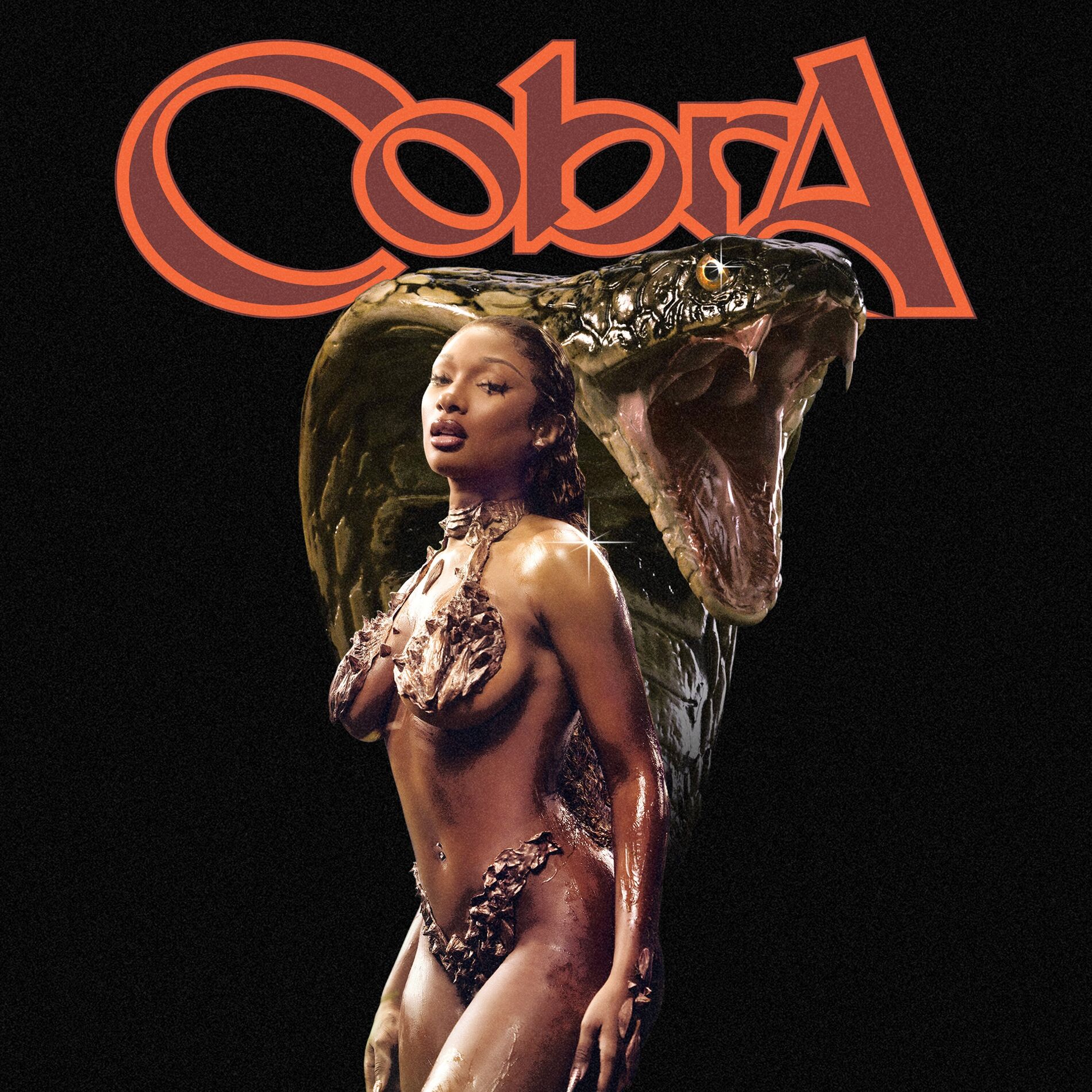 Album picture of Cobra