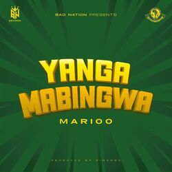 Cover of Yanga Mabingwa
