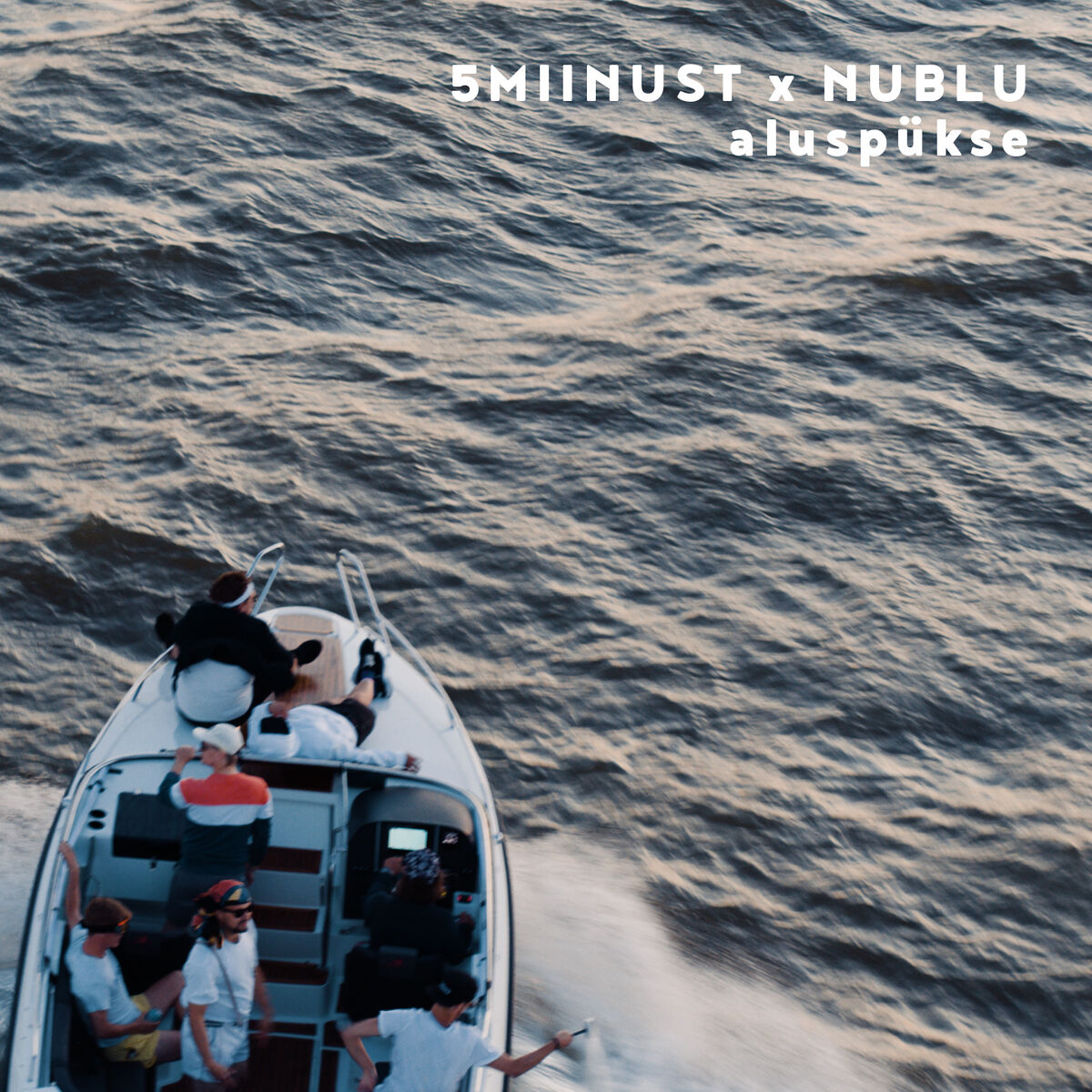 Album cover of Aluspükse