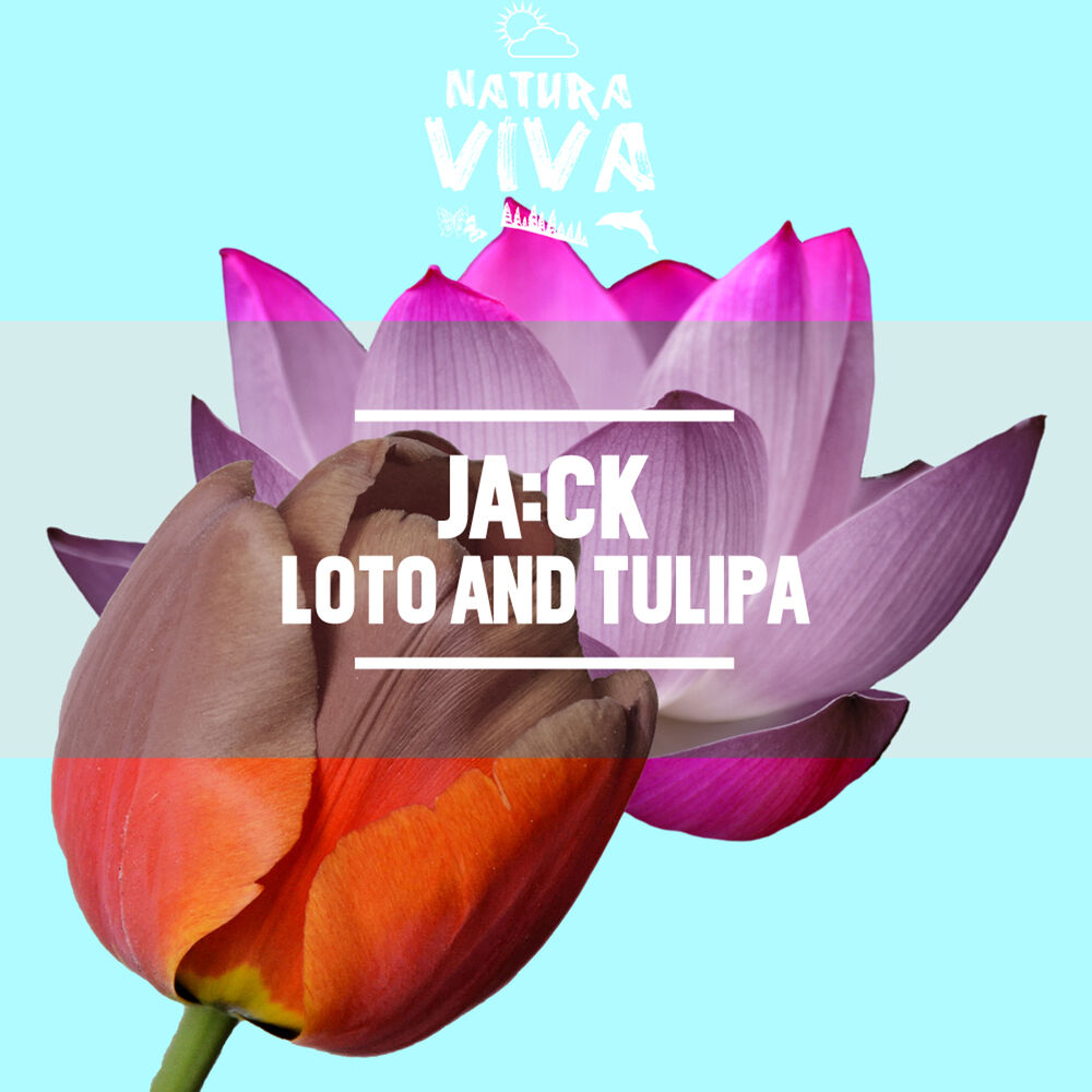 Picture of Loto and Tulipa