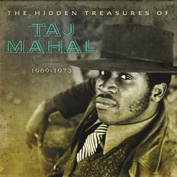 Cover of The Hidden Treasures of Taj Mahal