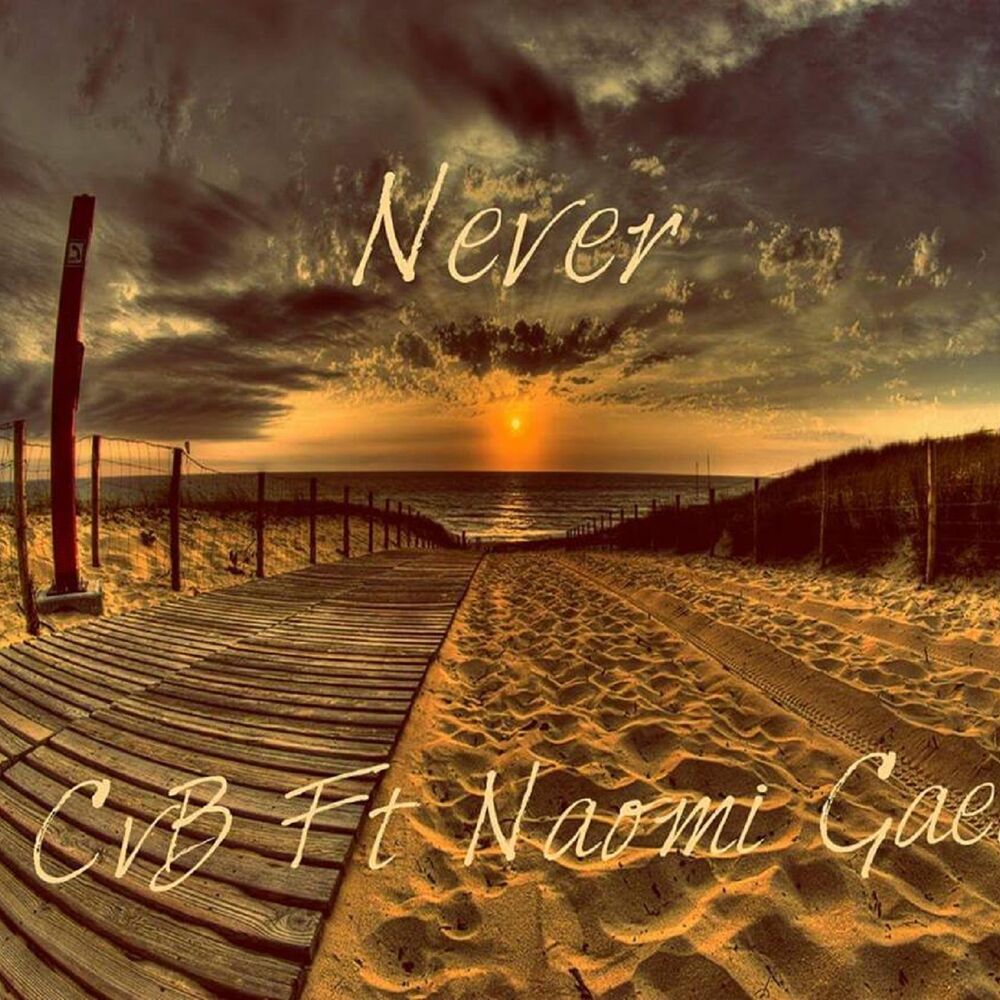 Picture of Never (Original Mix)