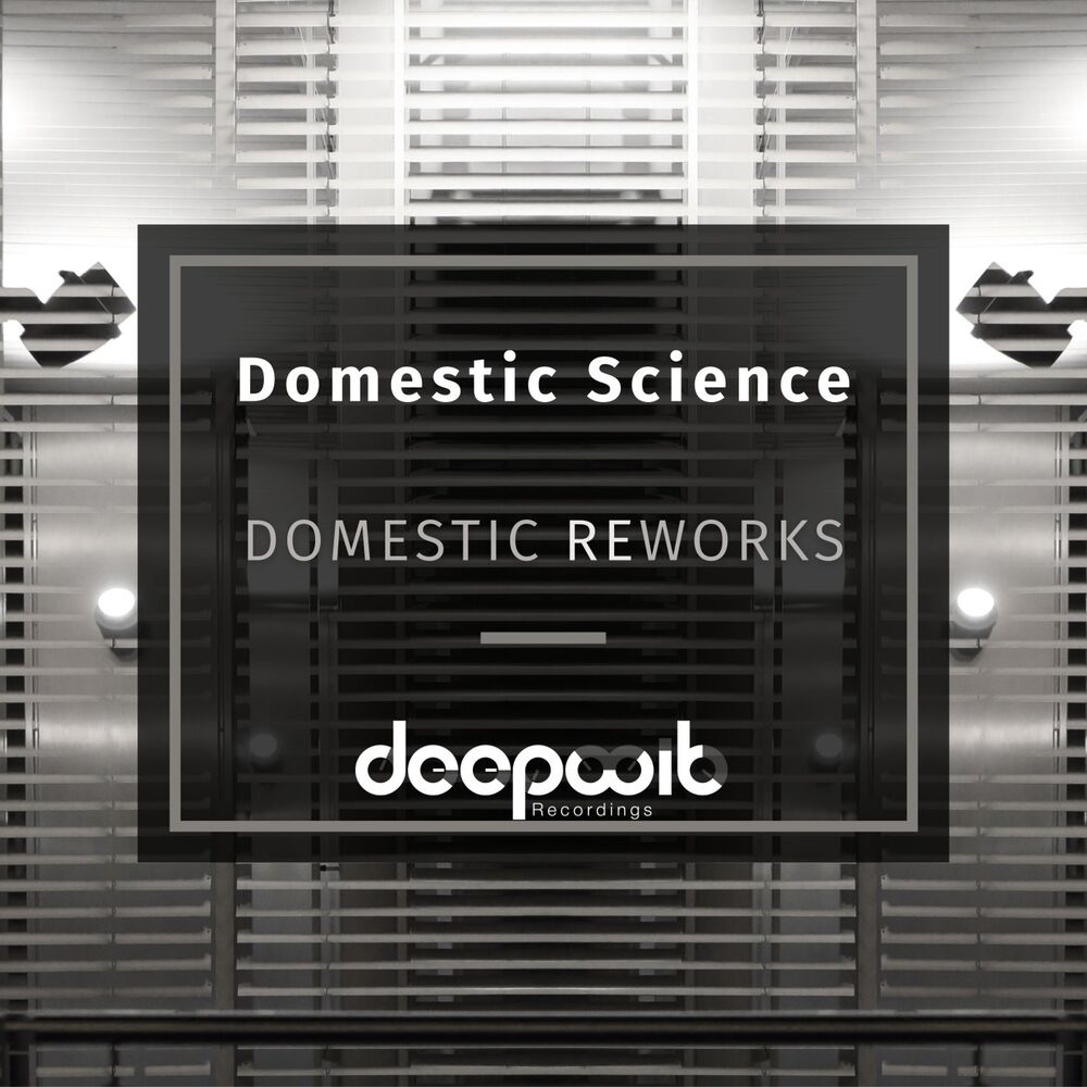 Picture of Domestic Reworks