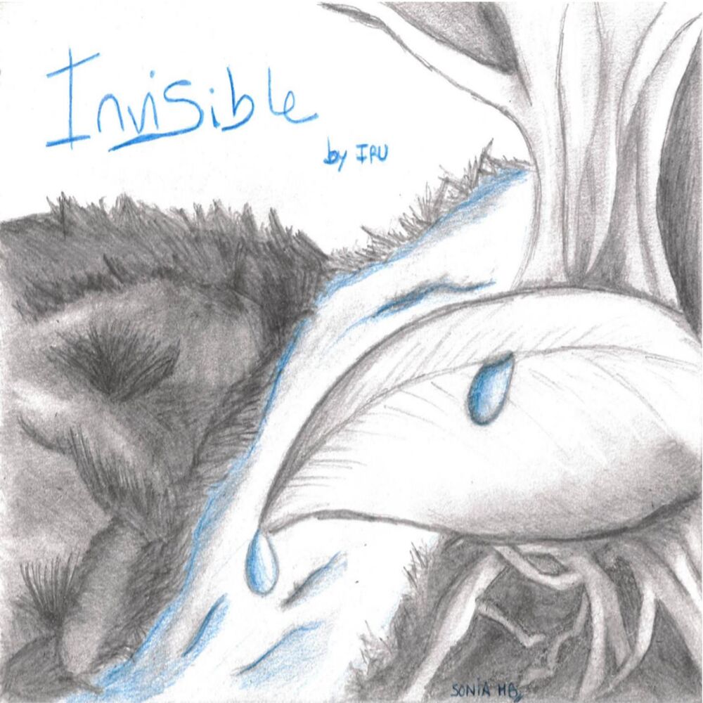 Picture of Invisible