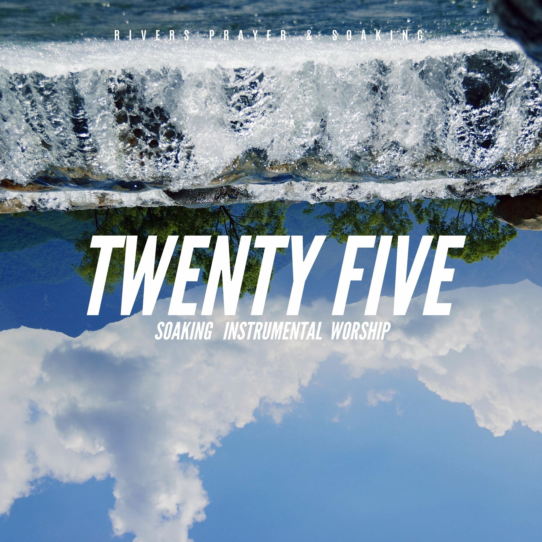 Album cover of Twenty Five