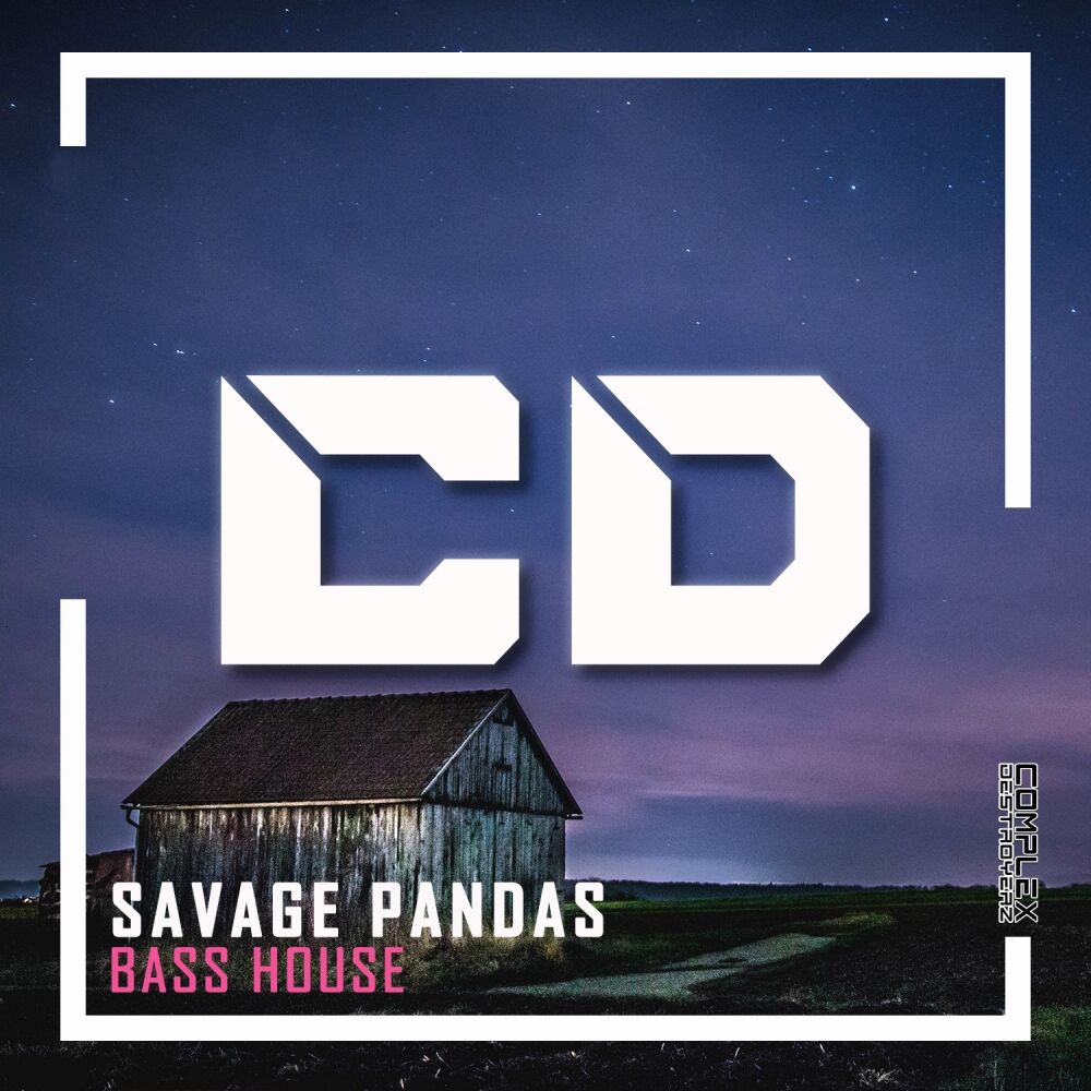 Picture of Bass House