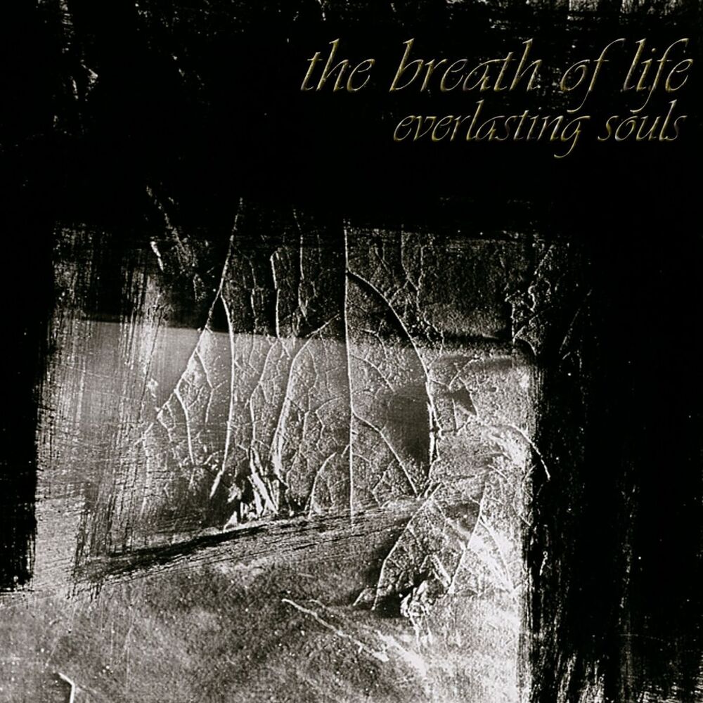 Picture of Everlasting Souls