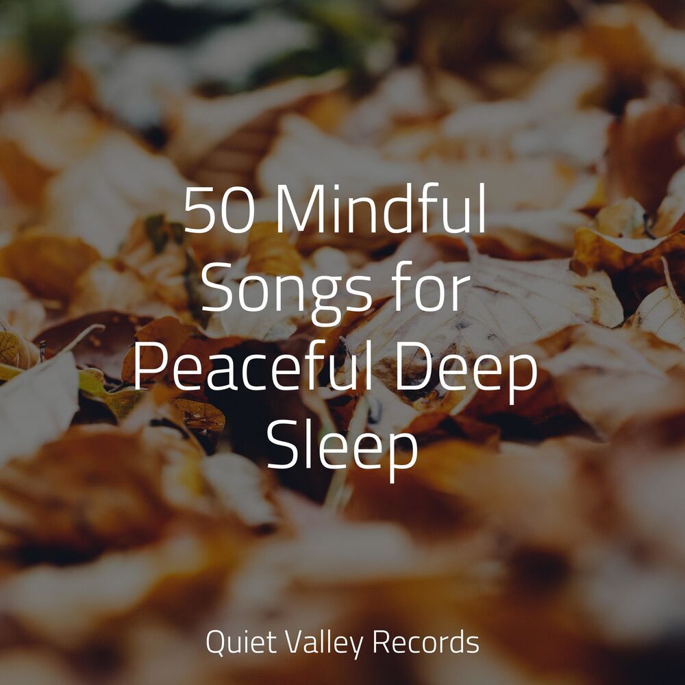 Picture of 50 Mindful Songs for Peaceful Deep Sleep