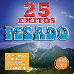 Cover of 25 Exitos Pesados (Vol. 1) (USA)