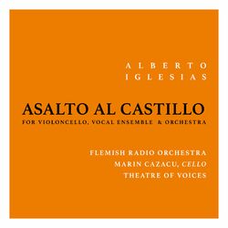 Cover of Asalto al Castillo