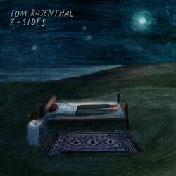 Cover of Z-Sides
